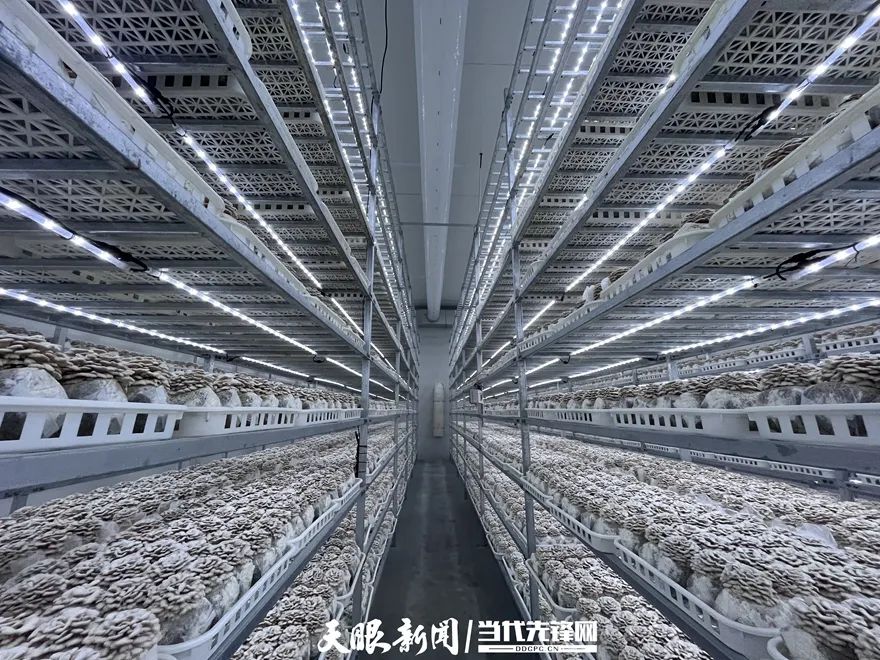 1708691440714628.jpg 图片