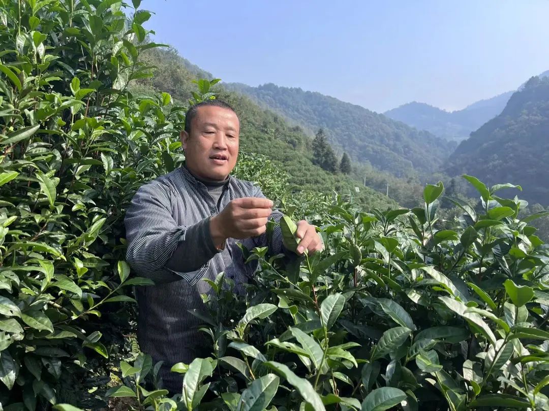 1708691418900042.jpg 图片