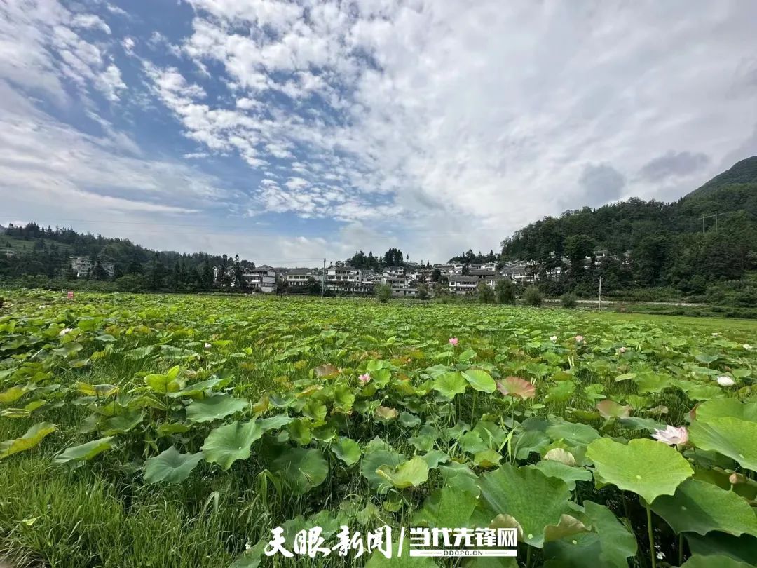 1708691492594336.jpg 图片