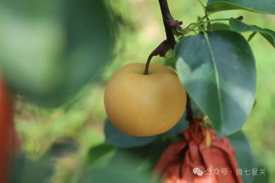 183bdc2b-397a-4acb-b227-199a79bab5b0.jpeg