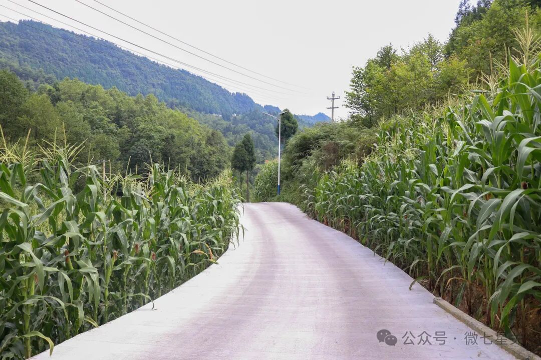 94a7333e-34c9-4365-aabd-bfebf3b15ab0.jpeg